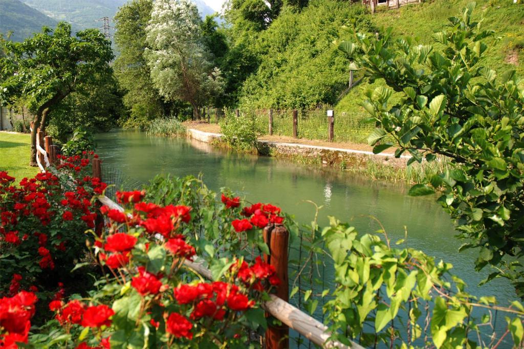 Hotel Calvi-Ristorante Mainor Vittorio Veneto Zewnętrze zdjęcie